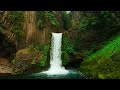 toketee falls oregon drone video