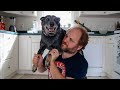 A Heeler's Guide to Personal Space