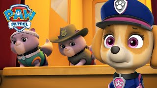 ¡Los cachorros del rescate máximo salvan a los Gatitos Reales! - PAW Patrol Episodio Español