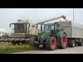 trebbiatura mais 2018 f.lli simeoni claas lexion 630 u0026 fendt 720 vario by jeyb04