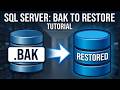 How to Restore/Import .bak Backup File in MS SQL Server Management Studio (2026)