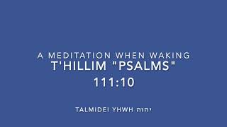 Tehillim \