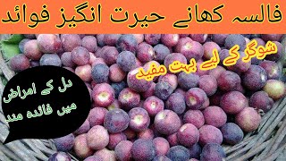 The Benefits of Falsaa فالسہ کے حیرت انگیز فوائد