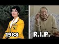 Hi-de-Hi! (1980 - 1988) Cast THEN and NOW, The actors have aged horribly!!