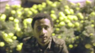 New Ethiopian Music 2014 Fikir Endekirar by Kibrom ft Haimanot.