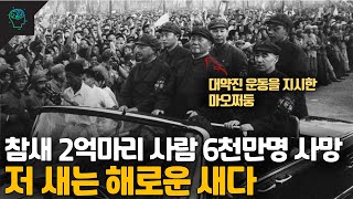 ‘저 새는 해로운 새다’ 중국을 기근으로 몰아넣은 제사해 운동 (feat.중국의 생태계 파괴)