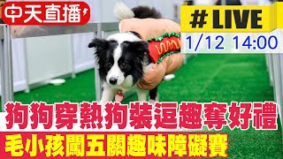 【中天直播#LIVE】毛小孩cosplay熱狗裝上場 飼主使盡全力拚闖關 20250112 @中天電視CtiTv