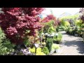 triple tree nurseryland maple ridge