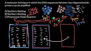 Southern blotting vs Northern blotting vs PCR