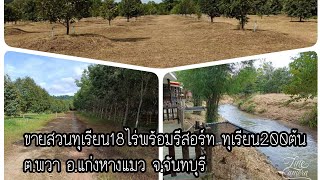 ขายสวนทุเรียนพร้อมรีสอร์ท ทุเรียน200ต้น  8.5 ล ต.แก่งหางแมว จ.จันทบุรี#ขายสวนทุเรียนจันทบุรี