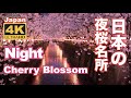 4K Japan night cherry blossom（sakura) spot 夜桜名所 京都 Kyoto 目黒川 上野公園 弘前公園 千鳥ヶ淵 桜坂 東京 満開 花見  観光 旅行