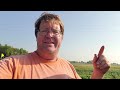 foliar feeding soybeans update.