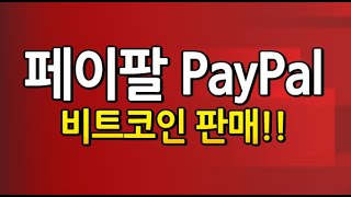 [도리362강] 코인 구매 미룬 당신은 평생 흑수저!! 페이팔 PayPal