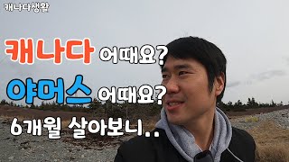 캐나다이민, 캐나다생활, 야머스 어때요? 6개월을 살아보니 느낀 것들.