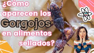 ¿Cómo aparecen los gorgojos en los paquetes cerrados?