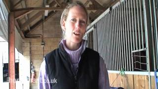 Dressage: How to ride two half circles