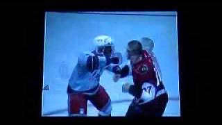 Jarkko Ruutu vs Donald Brashear