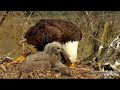 decorah eagles 4 26 20 4 30 pm mom brings another whopper