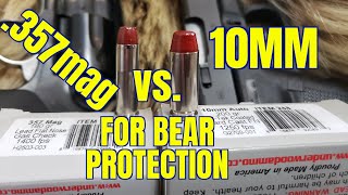 10mm vs .357 Magnum for Bear Protection in Alaska