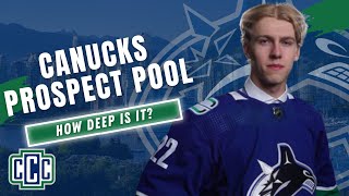 HOW STRONG (OR WEAK) IS THE CANUCKS PROSPECT POOL?