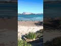 📌 la posidonia che salvaguardia la spiaggia di lu impostu ❤️ sardegna world