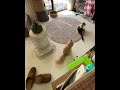 ナイスアシスト👏🏻🤣⁉️ ねこ動画 ねこのいる生活 カップイン　 ゴルフ　 ねこ好き 癒し動画