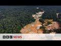 Climate change: Carbon dioxide rises more than ever in 2024 | BBC News