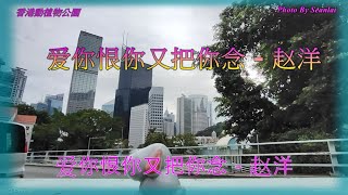 【爱你恨你又把你念】演唱 : 赵洋