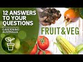 Tips for growing fruit and vegetables | Your questions, our answers | Gardening Australia