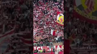 FC Bayern vs FC Augsburg 3:1