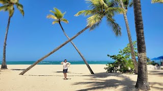 Emotions by Hodelpa Playa Dorada | Puerto Plata | Dominican Republic| March 2024