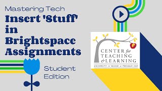 Add Multimedia to Assignments & Discussions