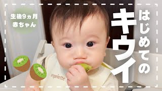 【簡単離乳食】赤ちゃんキウイフルーツの手づかみ食べに初挑戦！🥝生後9ヵ月　Baby eating kiwi.