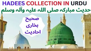 Hadees Collection In Urdu - Sahih Bukhari Ahadees – Pyare Rasool SAW Ki Pyari Batein