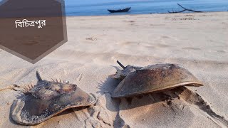 Bichitrapur (বিচিত্রপুর) Mangrove Forest, near Digha | Complete Boat ride Video | 🌲🌳🌿