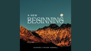 A New Beginning