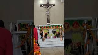 #alleluiya #givethankstothe lord #palam church alter