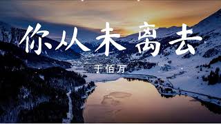 你从未离去 - 于佰万 『我不再迷茫 思念是唯一的行囊。』【動態歌詞/Pinyin Lyrics】