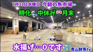 【水揚げ0です👌】【水曜日\u0026月末】今朝の魚市場7月31日水曜日の水揚げ状況