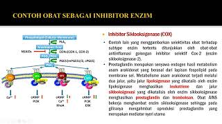 Enzim Sebagai Target Aksi Obat