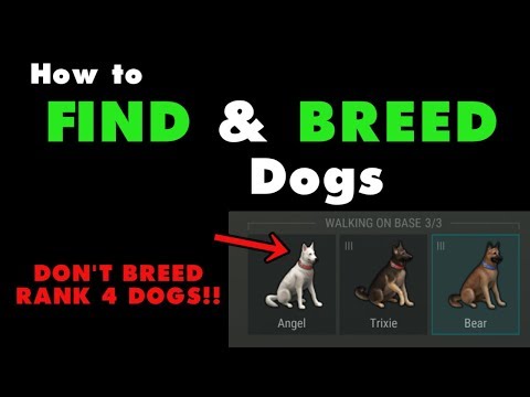 How to Find and Breed Dogs in Last Day on Earth (v.1.7.12) (Vid#120) How to Find and Breed Dogs in Last Day on Earth (v.1.7.12) (Vid#120)