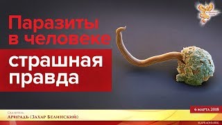 Паразиты в человеке  -  страшная правда. Часть 1