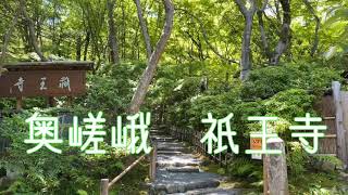 京都 奥嵯峨 祇王寺を散策:Gioji Temple in Saga