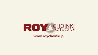 Roy Choinki Sztuczne www.roychoinki.pl