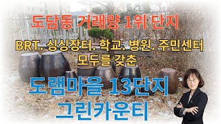 도담동 거래량 1위/도램마을13단지 중흥S-클래스 그린카운티 단지소개_랜드고 세종다정 최고부동산 서은주 공인중개사