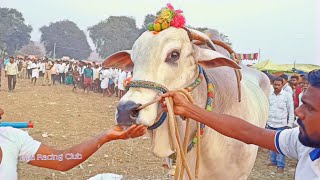 క్రిష్ణంపల్లి ఓల్డ్ కేటగిరిలో,3వ బహుమతి విజేత.శ్రీ నెమలయ్య గారు,గోపవరం గ్రామం,బద్వేలు మండలం,కడప