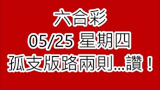 2017年5月25日 六合彩孤支版路兩則 - 樂透研究院