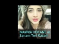 31 Pakistani Actor Actresses In Bollywood Movies