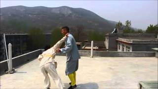 Shaolin Hidden Fighting Techniques