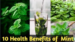 Health Benefits of Mint (Pudina) in English | पुदीना के स्वास्थ्य लाभ | പുതിനയുടെ ആരോഗ്യ ഗുണങ്ങൾ |